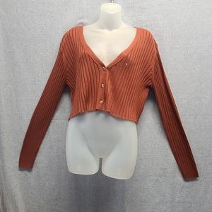 Pacsun/L.A.Hearts Brown LS Crop Sweater (Med) NWT